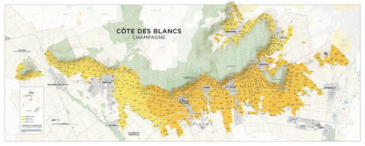 Mapping Champagne- Côte des Blancs Map